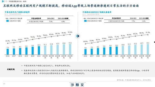 国产39页,揭秘我国科技发展的新篇章